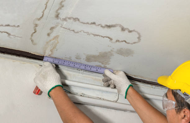 Reliable Sewage Cleanup contractor in Auburn, MA by Water Damage Irwin